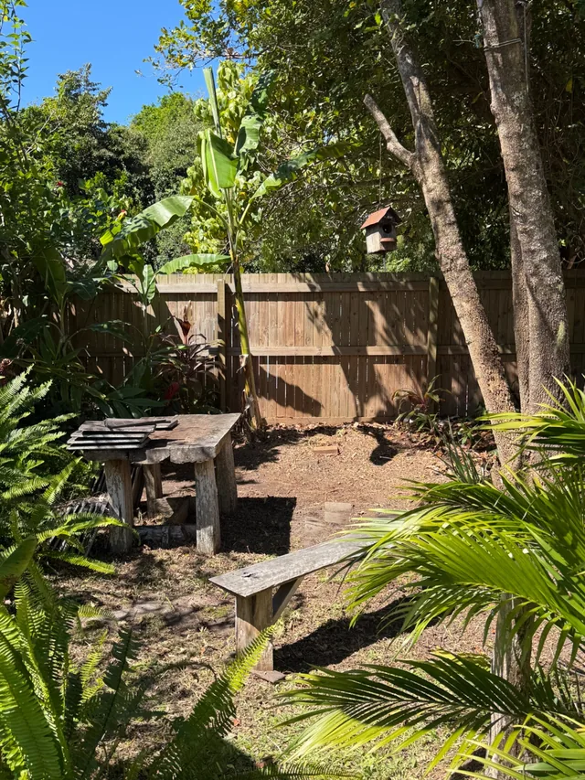 The same corner cleared to mulched ground, the table, bench, fence and birdhouse visible among the kept ferns and palms