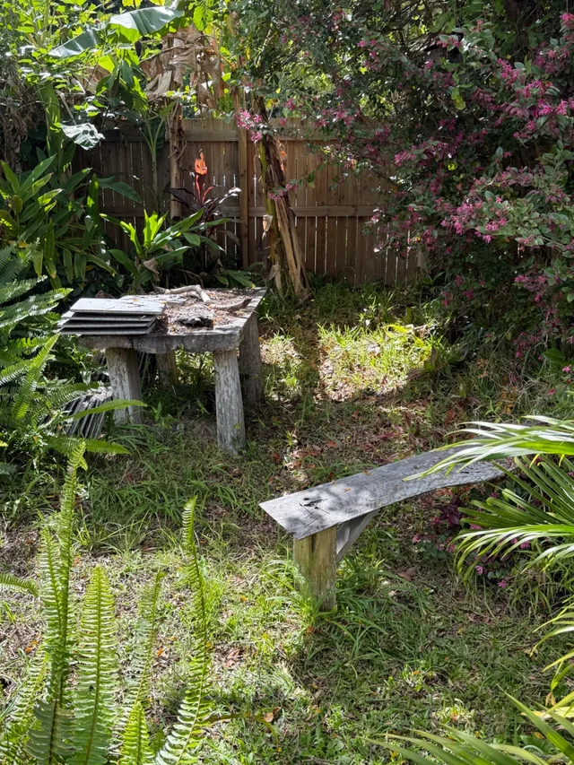 A back garden corner overgrown with grass and weeds, a timber table and bench buried in leaf litter under a dying banana