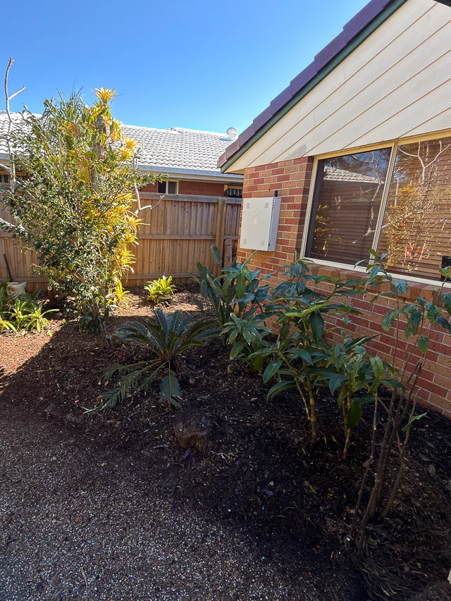 The same garden bed cut back to defined planting, freshly mulched and the driveway swept clean