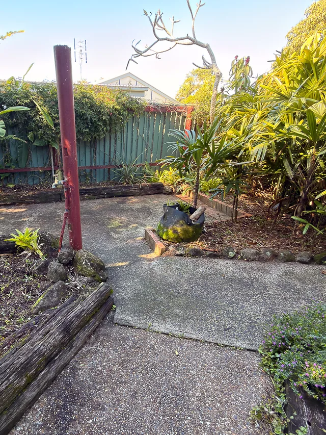 The same courtyard with the paving fully exposed, beds edged and the planting cut back