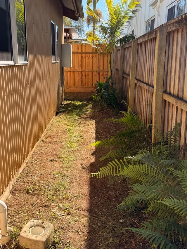 The same side path cleared to bare earth, the fence line open again with the ferns and palm kept along it
